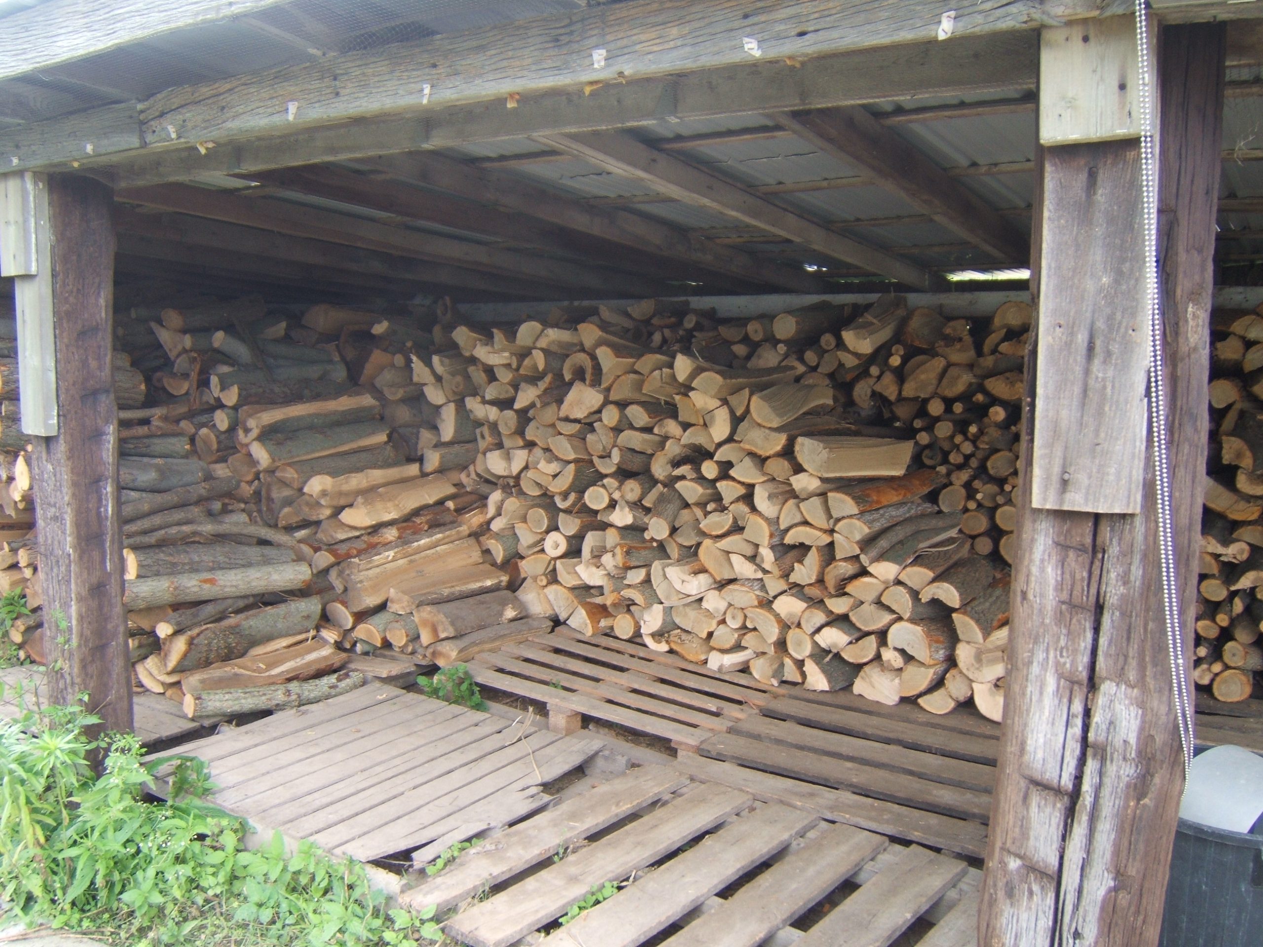 Old Firewood Shed